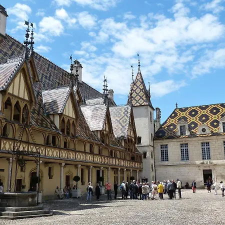 Cosy Chouette * Dijon